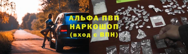 apvp Алексин