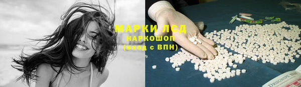 apvp Алексин