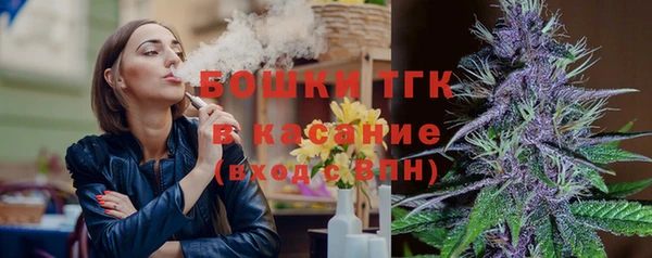 apvp Алексин
